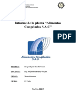 Informe de La Planta de Alimentos Congelados S.a.C