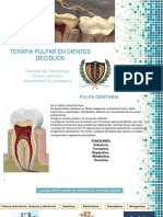 Terapia Pulpar Completo