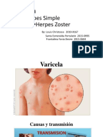 Varicela, Herpes Simple, Herpes Zoster