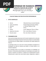 Plan de Trabajo HRHVM Leonardo 2