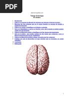 Cerebro