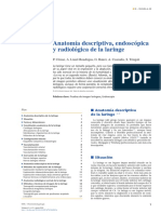 Laringe PDF