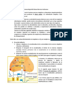 Farmacología Del Sistema Nervioso Autónomo