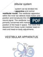 Vestibular Apparatus-2