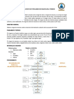 Elaboracion de Vinagre de Manzana Verde