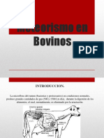 CLASE 12 Meteorismo en Bovinos