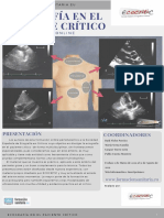 Ecografia en El Paciente Critico