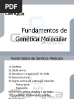 Fundamentos de Genetica Molecular