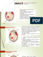 Hematomas-Sist. Nervioso