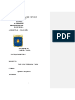 Informe de Estequiometria