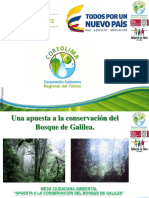 Cortolima Bosque Galilea Mesa Ciudadana Ambiental