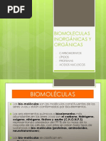 Biomoleculas Orgánicas