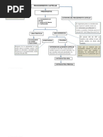 Procedimiento Cautelar