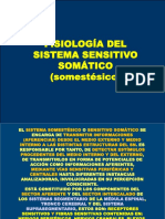 Fisiología Del Sistema Somestésico