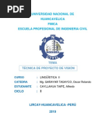 Tecnica de Pryecto de Vision Futura