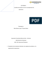 Observación de La Cadena de Suministro en Torno A La Programación de Operaciones