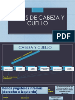 Venas de La Cabeza y Del Cuello - Anatomía I