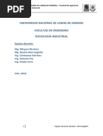 01 - Sociologia de Las Organizaciones - Teoria