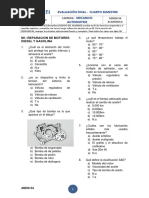 Examen Senati Semestral