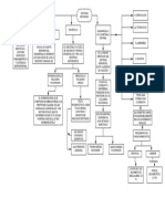 Mapa Conceptual Sistema Nervioso