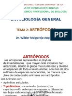 Tema 2 Artropodos