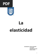 Elasticidad