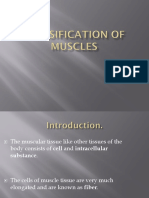 Classification of Muscles