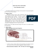 LKPD Sistem Reproduksi Manusia