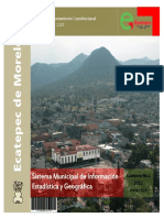 Estadistica Ecatepec PDF