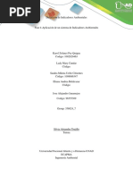 Fase 4 - Aplicación de Un Sistema de Indicadores Ambientales