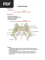 ANATOMY: Pelvic 3