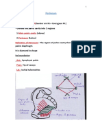 ANATOMY: Pelvic 4