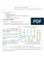 Sistema Respiratorio