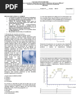 Examen Meiosis