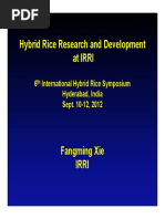 Fangming Xie - Hybrid Rice Research Development at IRRI