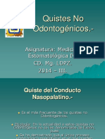 Quistes No Odontogénicos.