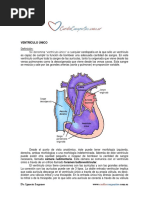 Ventriculo Unico