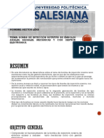 Bomba de Inyección Rotativa de Émbolos Axiales Radiales.