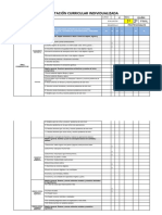 Planilla de Estrategias DUA