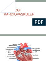 Fisiologi Kardiovaskuler - PPTX (Semester 7)