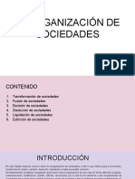 Reorganización de Sociedades PDF