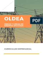 Curriculum Oldea