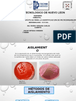 Aislamiento y Caracteristicas para La Identificación de Microorganismos.