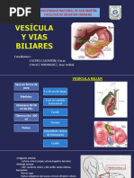 Vesícula y Vías Biliares