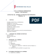 Estructura Del Informe PPP Ii Contabilidad