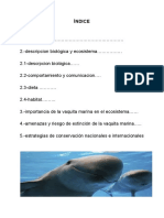 Vaquita Marina (Investigación Escolar)