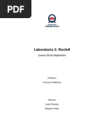 Lab 5 Rocfall Pincheira Prado PDF