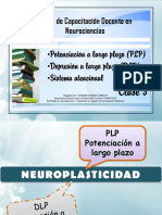 PLP - DLP - Atención PDF