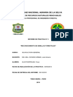 Informe de Semillas Forestales