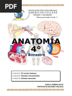 Anatomia 4to - I Bimestre